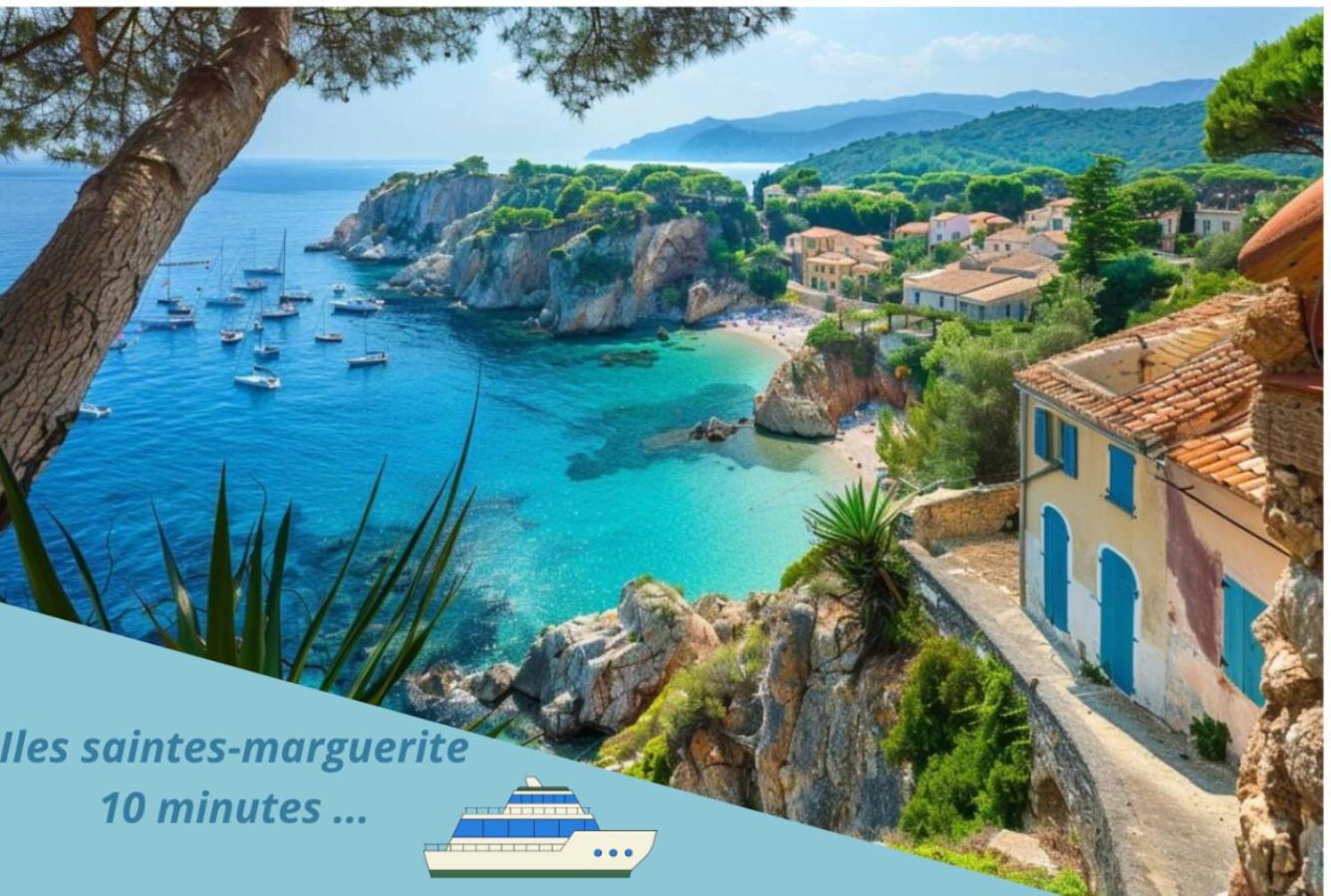 F3 Notre-Dame , Hypercentre A 2 Minute Du Palais Des Congres Leilighet Cannes Eksteriør bilde